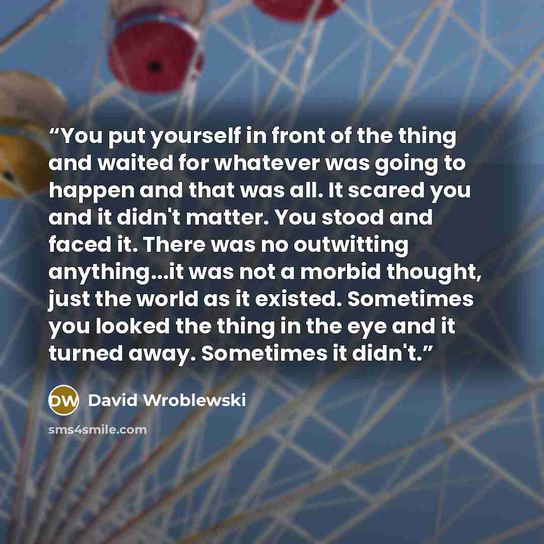 “You put yourself in front of the thing and waited for whatever was going to happen and that was all. It scared you and it didn't matter. You stood and faced it. There was no outwitting anything...it was not a morbid thought, just the world as it existed. Sometimes you looked the thing in the eye…” quote by David Wroblewski