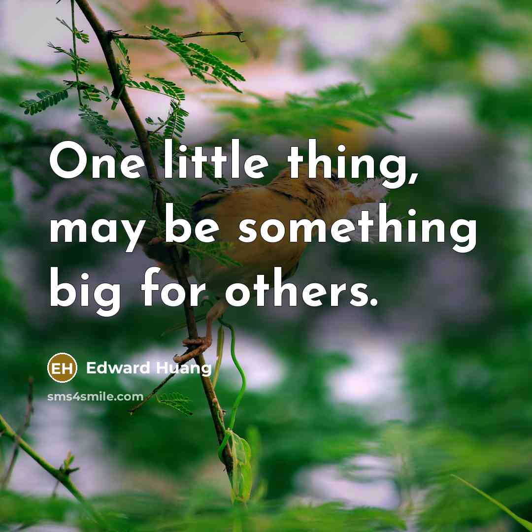 “One little thing, may be something big for others.…” quote by Edward Huang