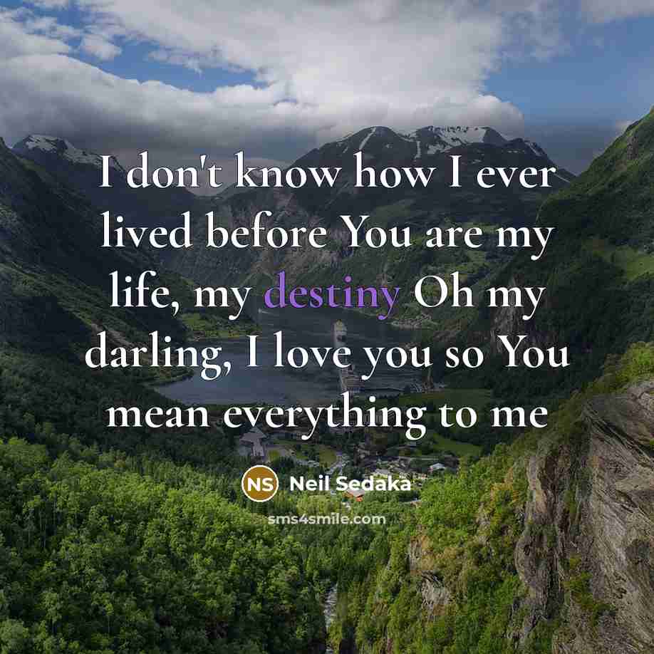 “I don't know how I ever lived before You are…” quote by Neil Sedaka