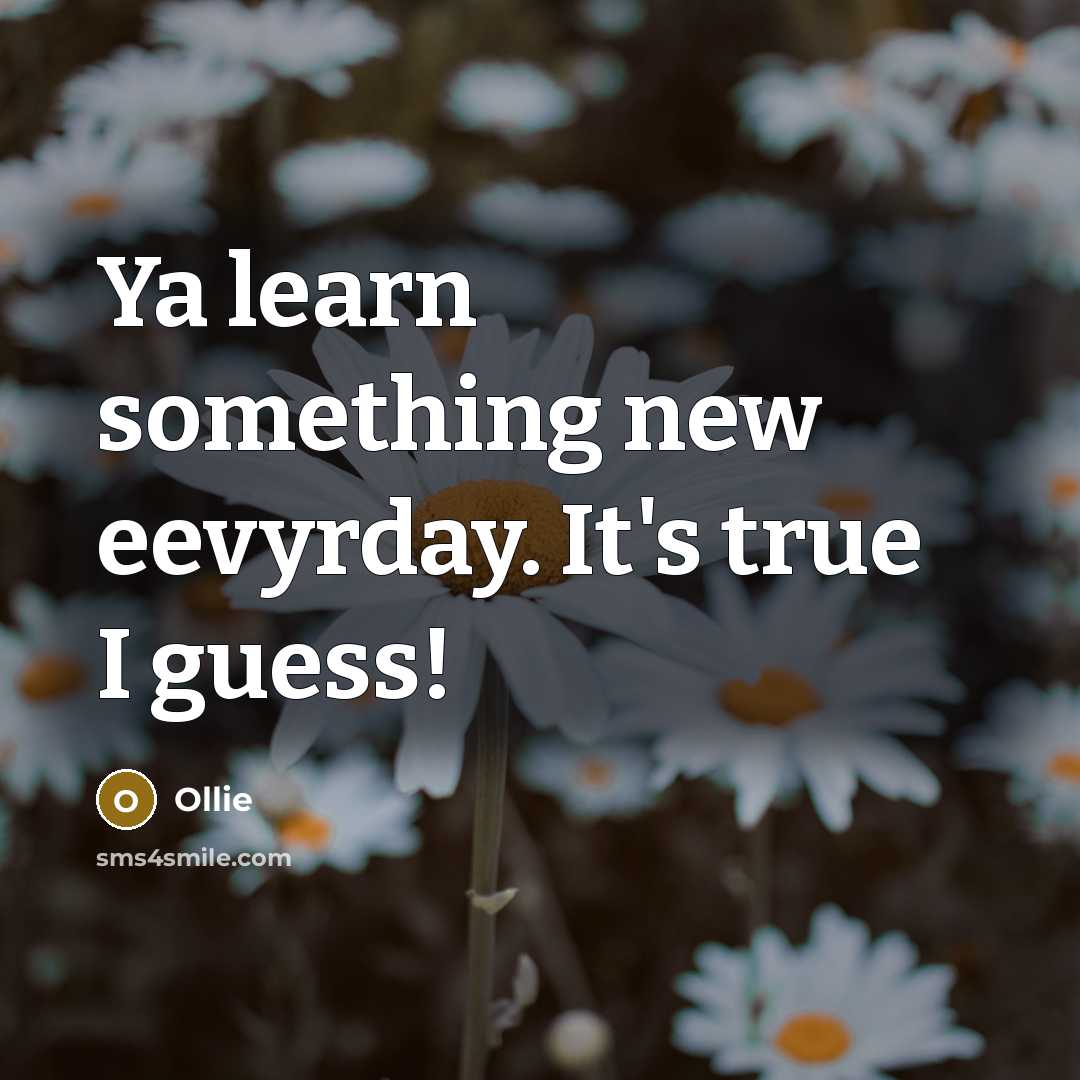 “Ya learn something new eevyrday. It's true I guess!” quote by Ollie