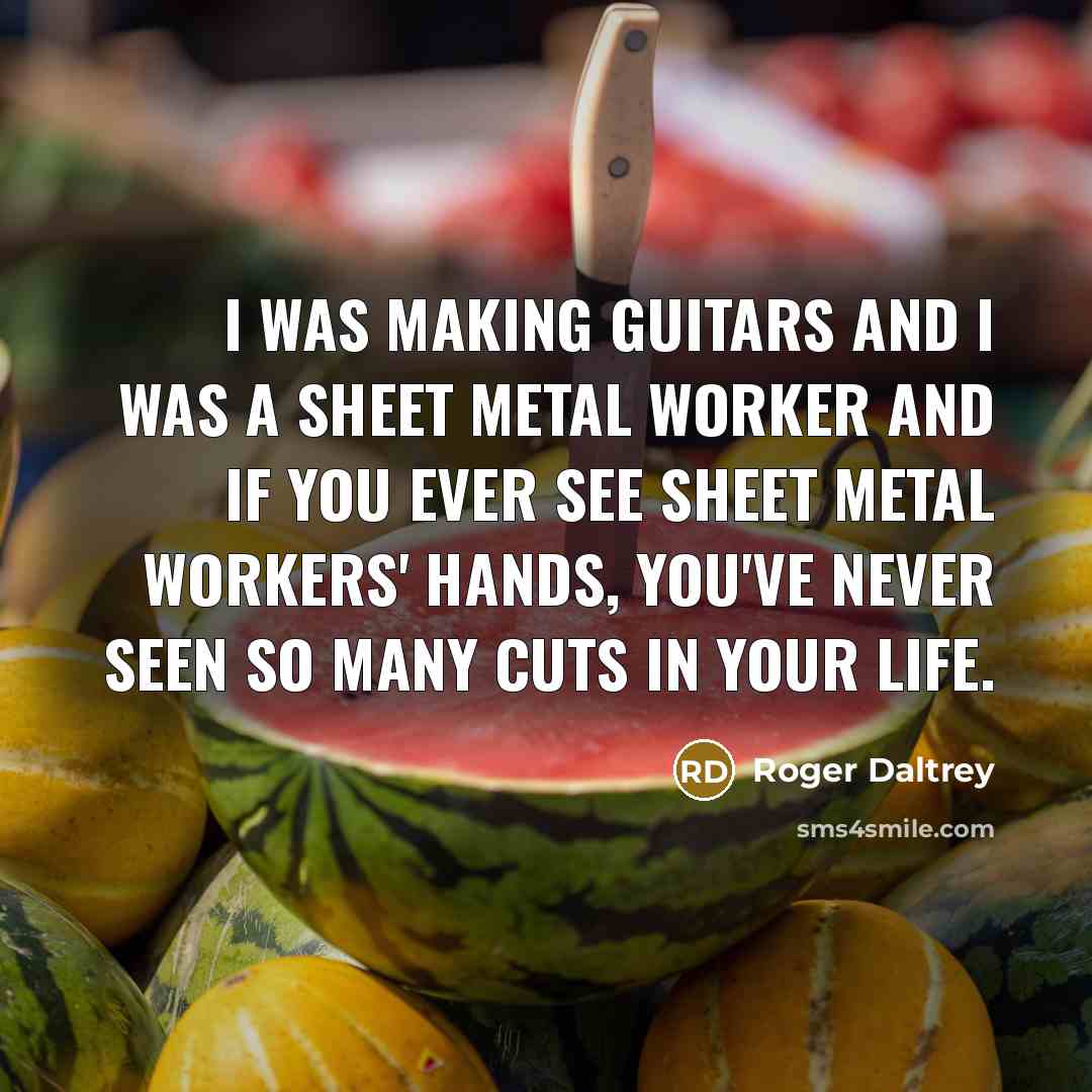 “I was making guitars and I was a sheet metal…” quote by Roger Daltrey