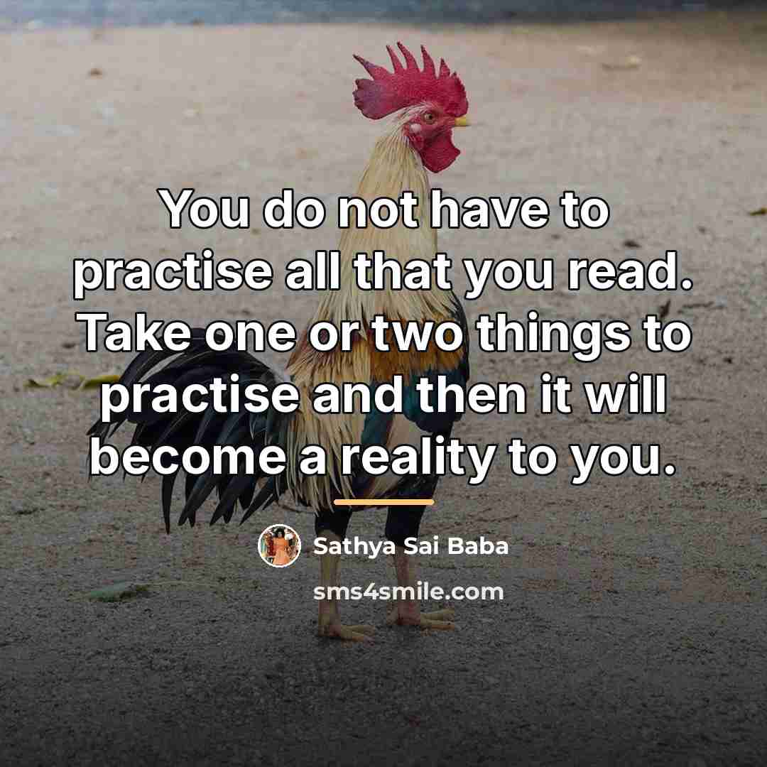 “You do not have to practise all that you read.…” quote by Sathya Sai Baba
