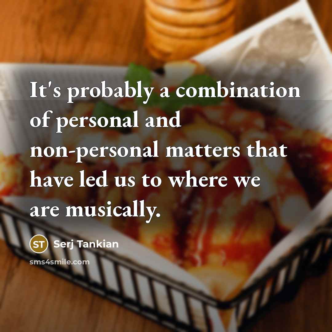 “It's probably a combination of personal and non-personal matters that…” quote by Serj Tankian