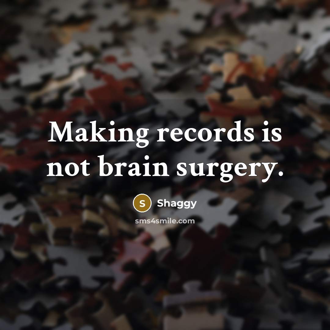 “Making records is not brain surgery.…” quote by Shaggy