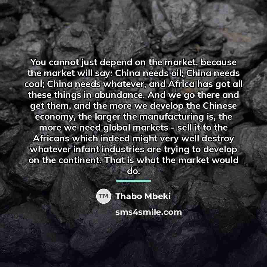 “You cannot just depend on the market, because the market…” quote by Thabo Mbeki