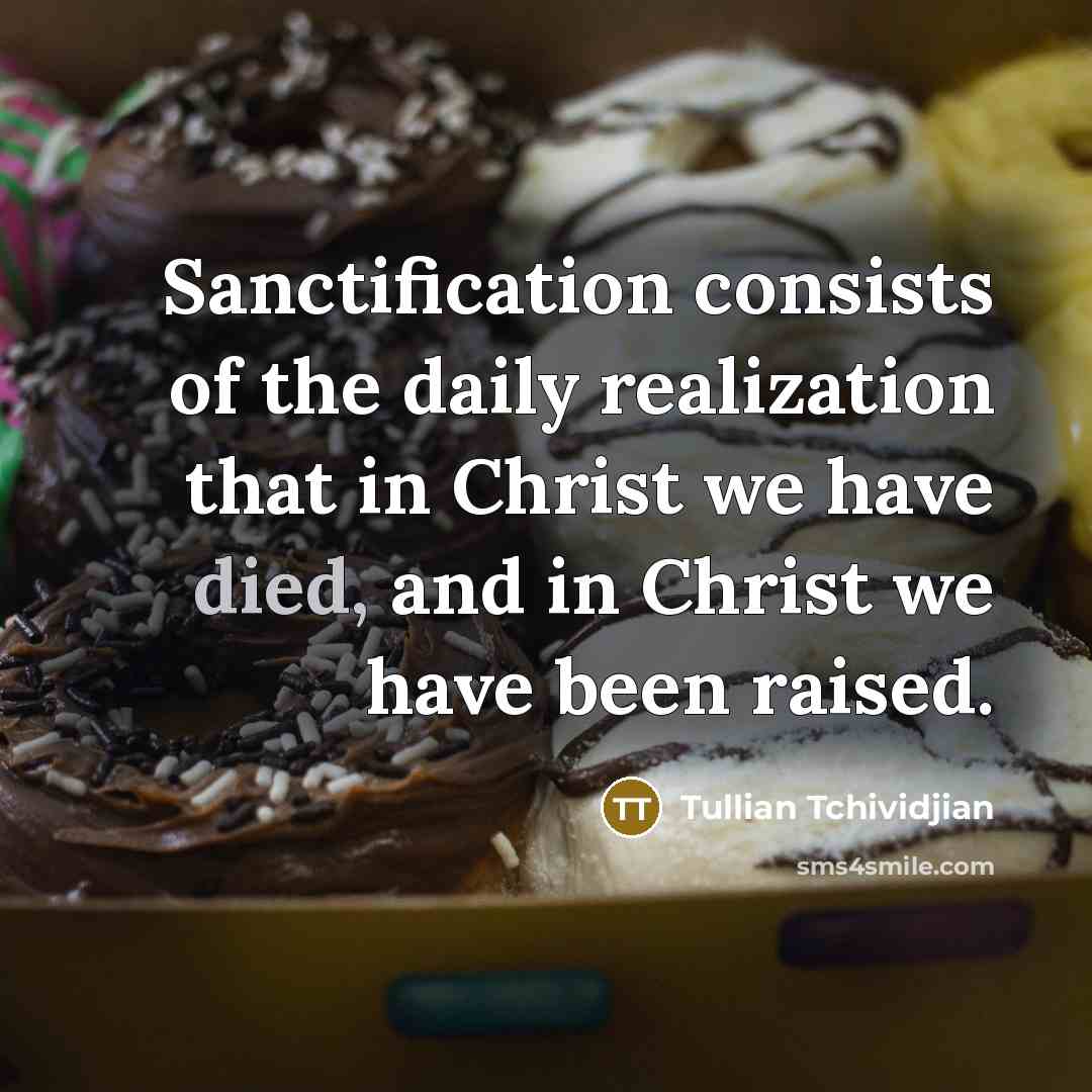 “Sanctification consists of the daily realization that in Christ we…” quote by Tullian Tchividjian