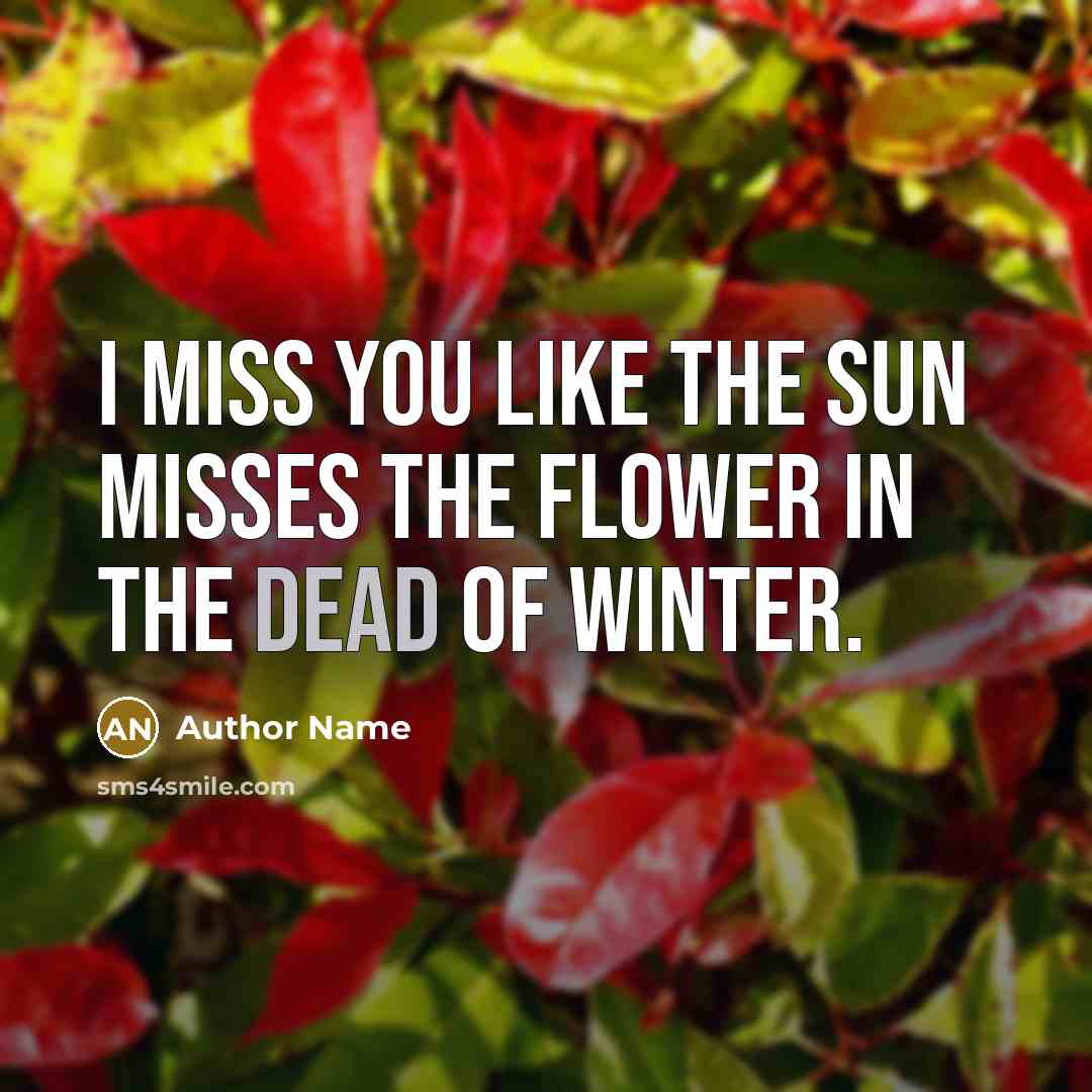 “I miss you like the sun misses the flower in…” quote by Author Name
