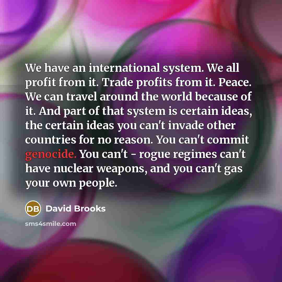 “We have an international system. We all profit from it.…” quote by David Brooks