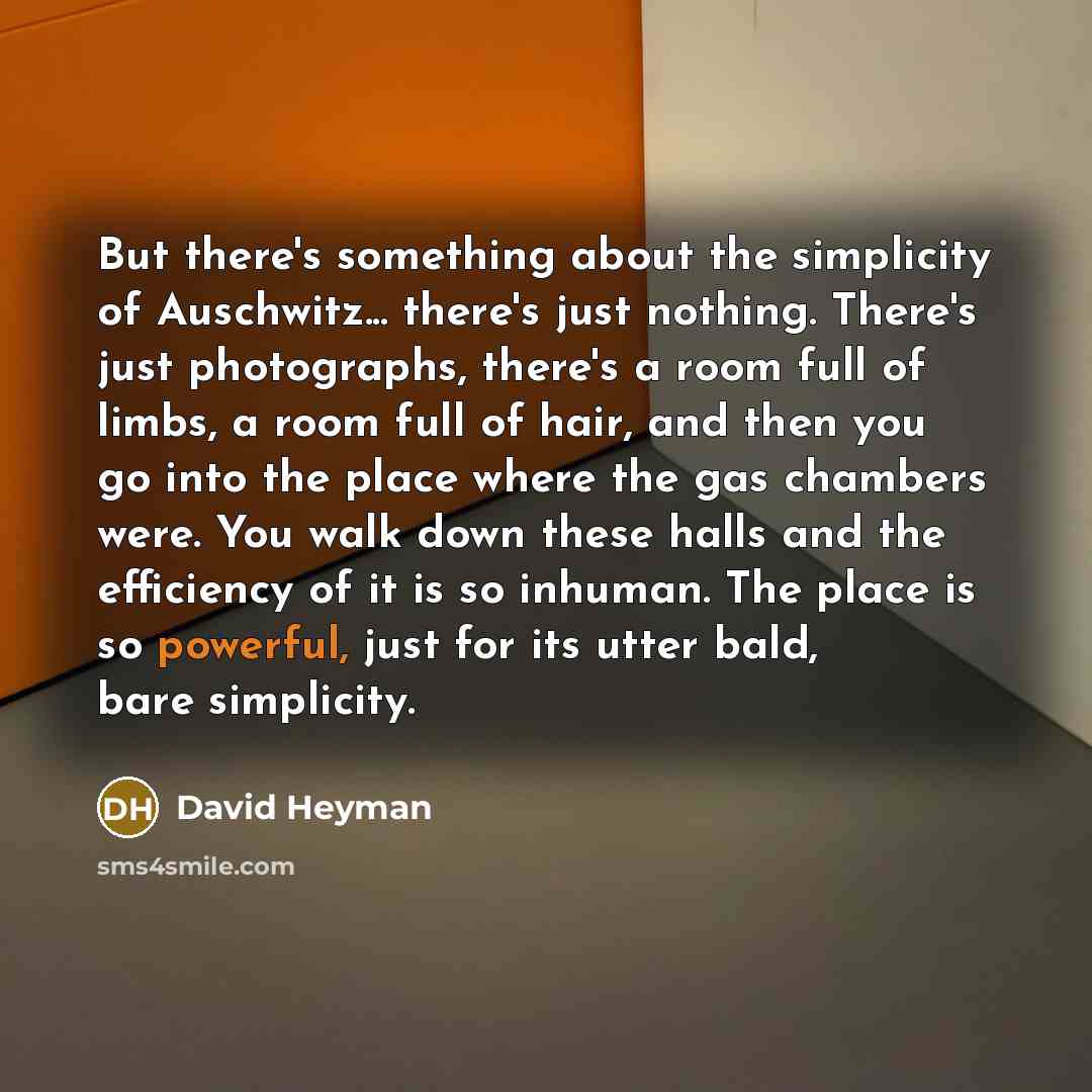 “But there's something about the simplicity of Auschwitz... there's just…” quote by David Heyman