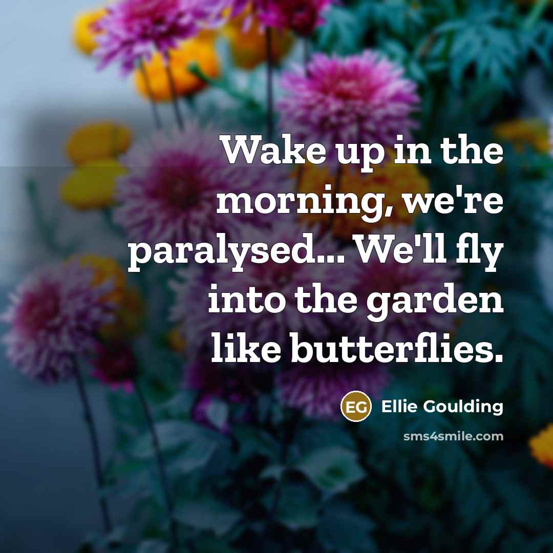 “Wake up in the morning, we're paralysed... We'll fly into…” quote by Ellie Goulding