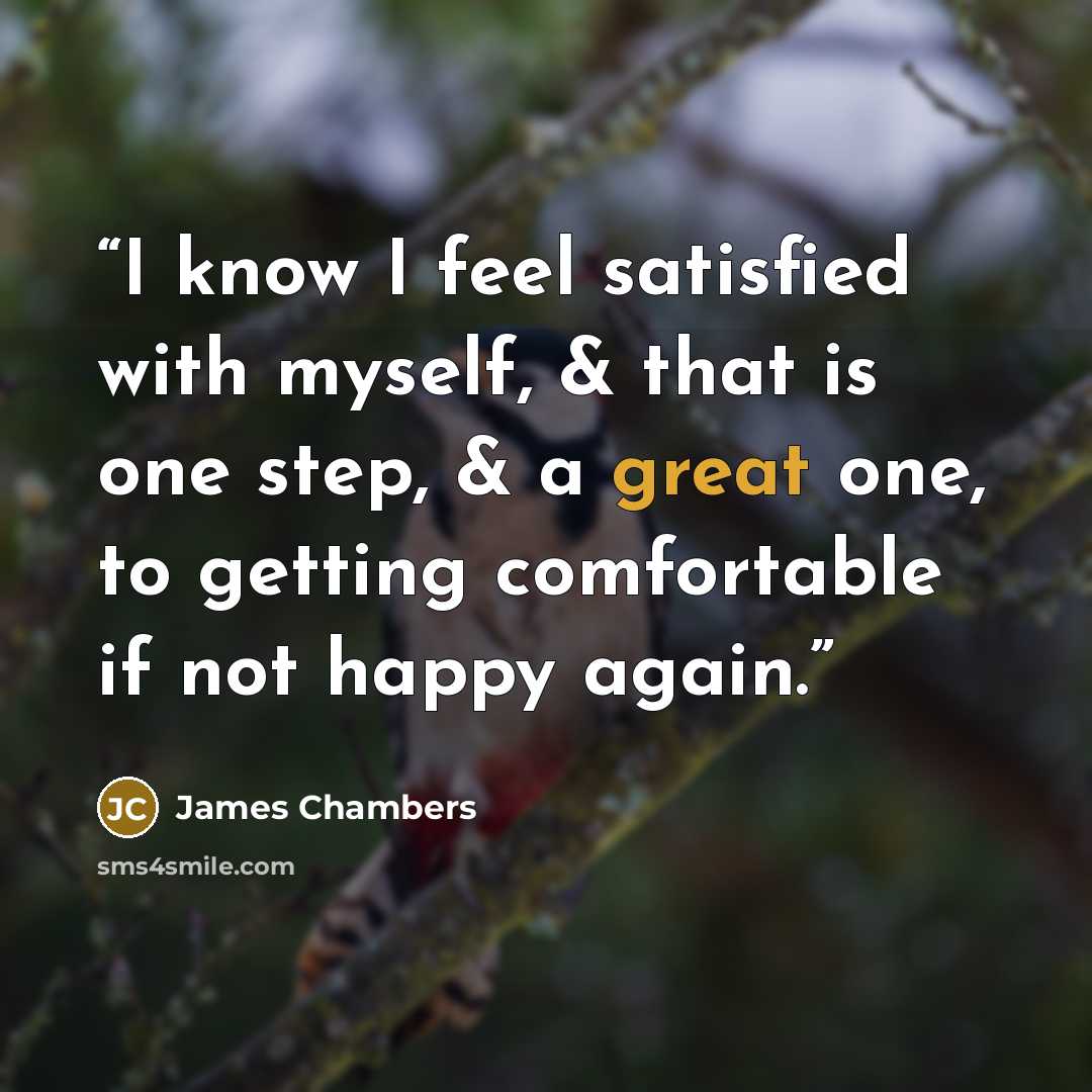 “I know I feel satisfied with myself, & that is one step, & a great one, to getting comfortable if not happy again.” quote by James Chambers