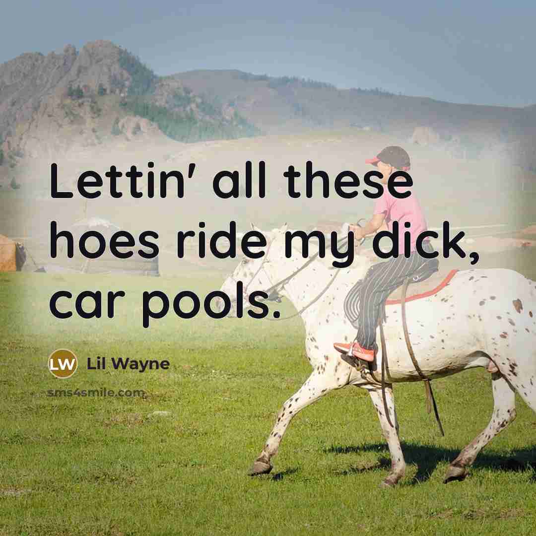 “Lettin' all these hoes ride my dick, car pools.” quote by Lil Wayne
