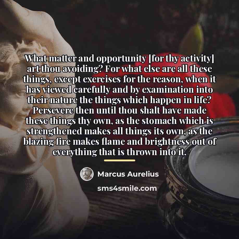 “What matter and opportunity [for thy activity] art thou avoiding?…” quote by Marcus Aurelius