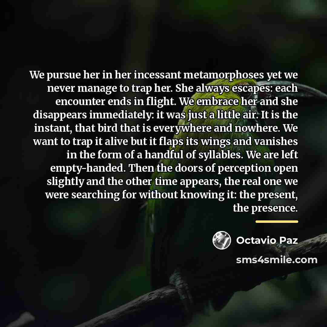 “We pursue her in her incessant metamorphoses yet we never…” quote by Octavio Paz