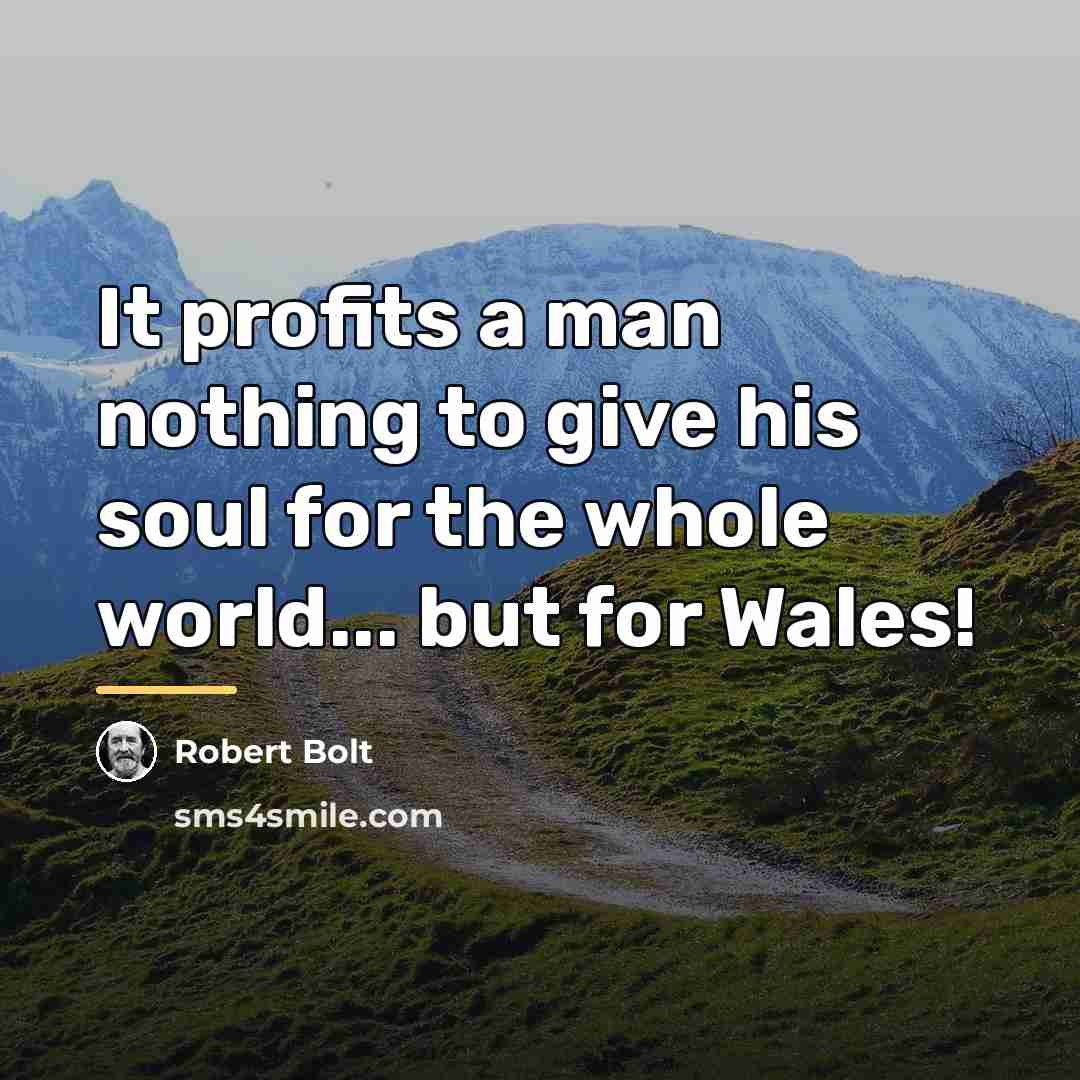 “It profits a man nothing to give his soul for…” quote by Robert Bolt