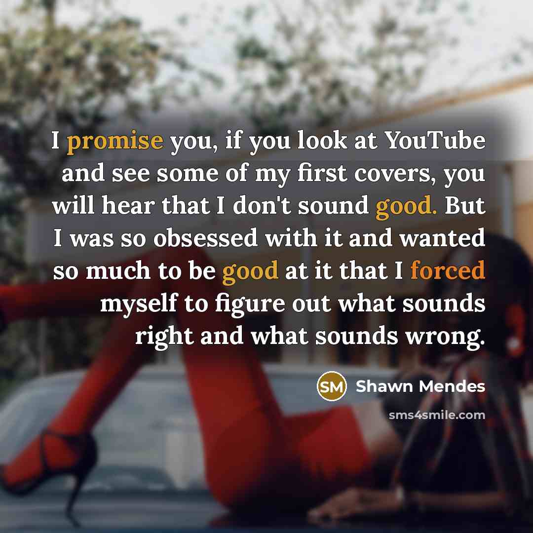 “I promise you, if you look at YouTube and see…” quote by Shawn Mendes