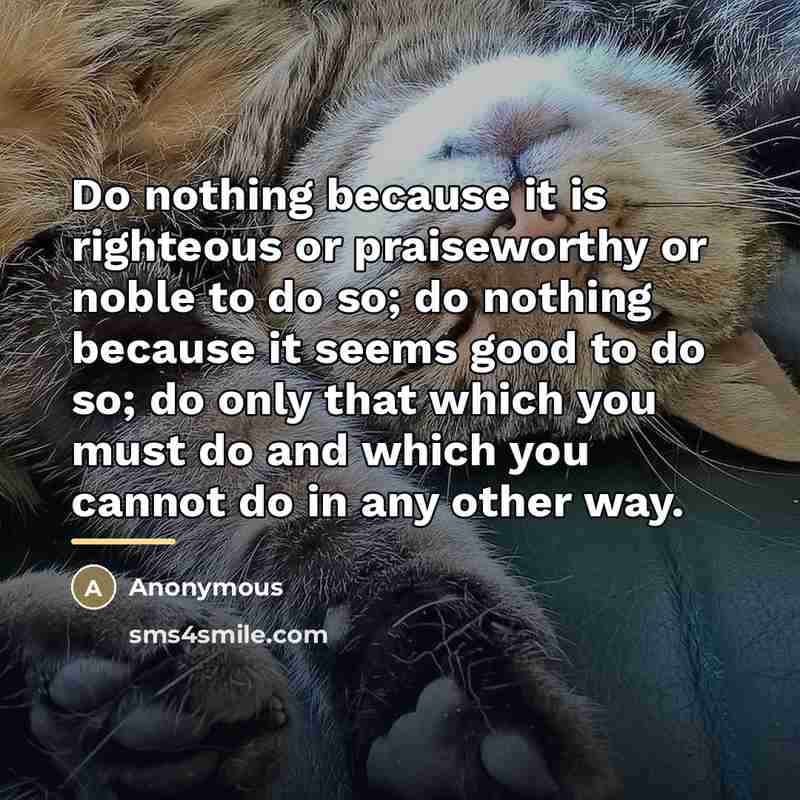 “Do nothing because it is righteous or praiseworthy or noble…” quote by Anonymous
