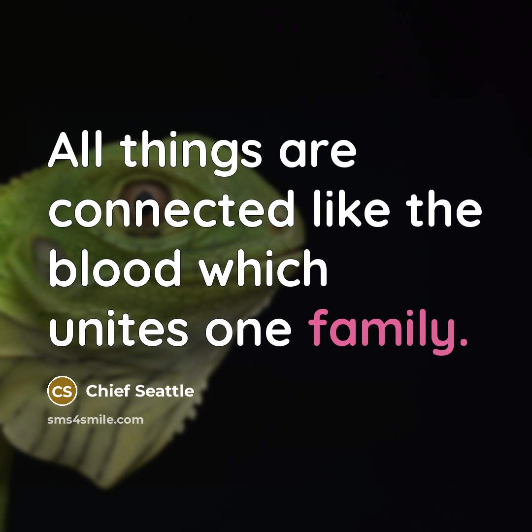“All things are connected like the blood which unites one…” quote by Chief Seattle