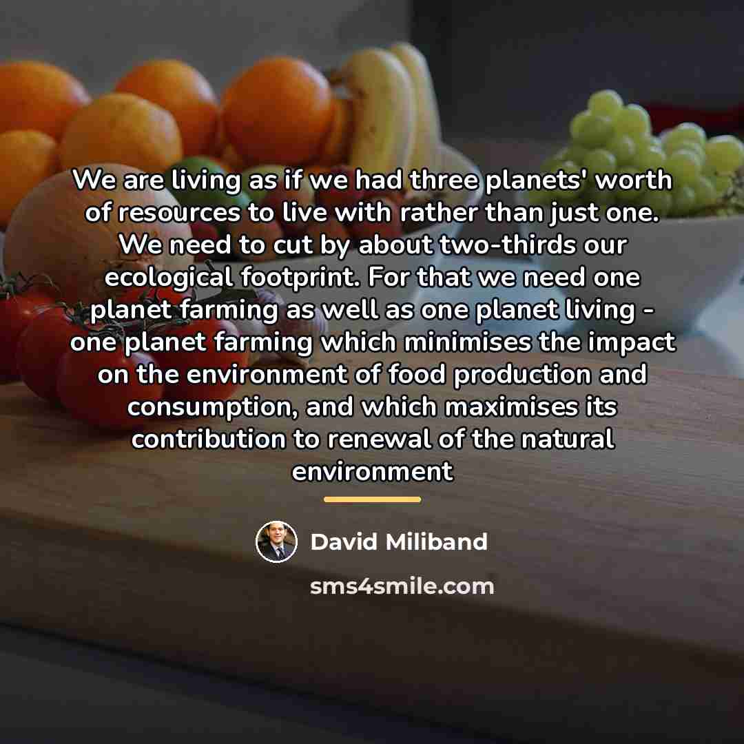 “We are living as if we had three planets' worth…” quote by David Miliband