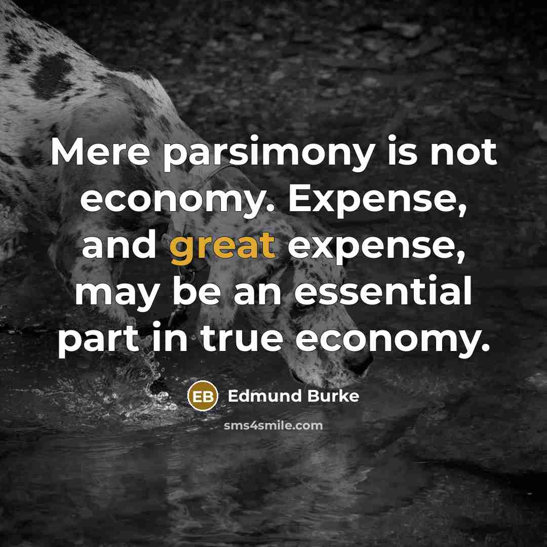 “Mere parsimony is not economy. Expense, and great expense, may…” quote by Edmund Burke