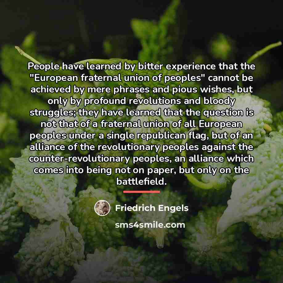 “People have learned by bitter experience that the "European fraternal…” quote by Friedrich Engels
