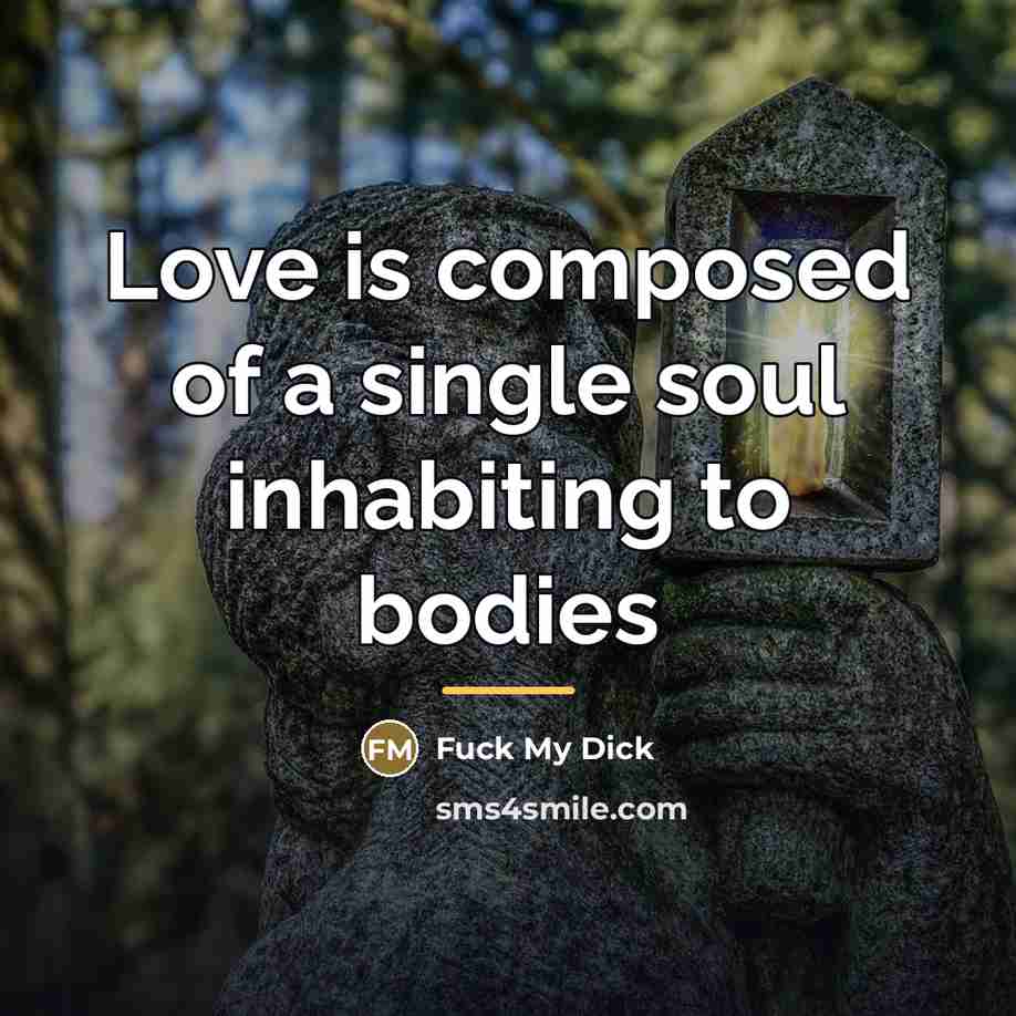 “Love is composed of a single soul inhabiting to bodies…” quote by Fuck My Dick
