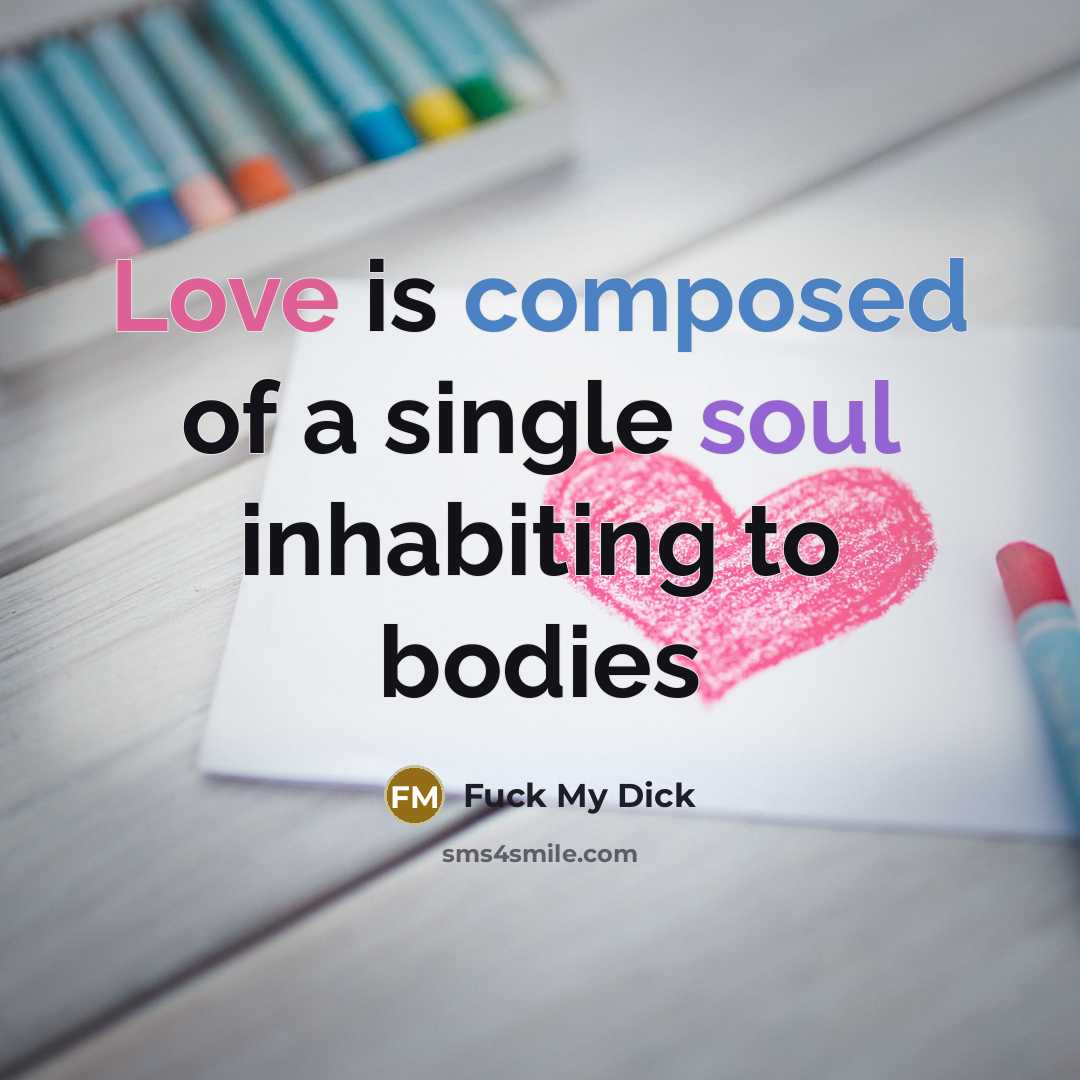 “Love is composed of a single soul inhabiting to bodies” quote by Fuck My Dick