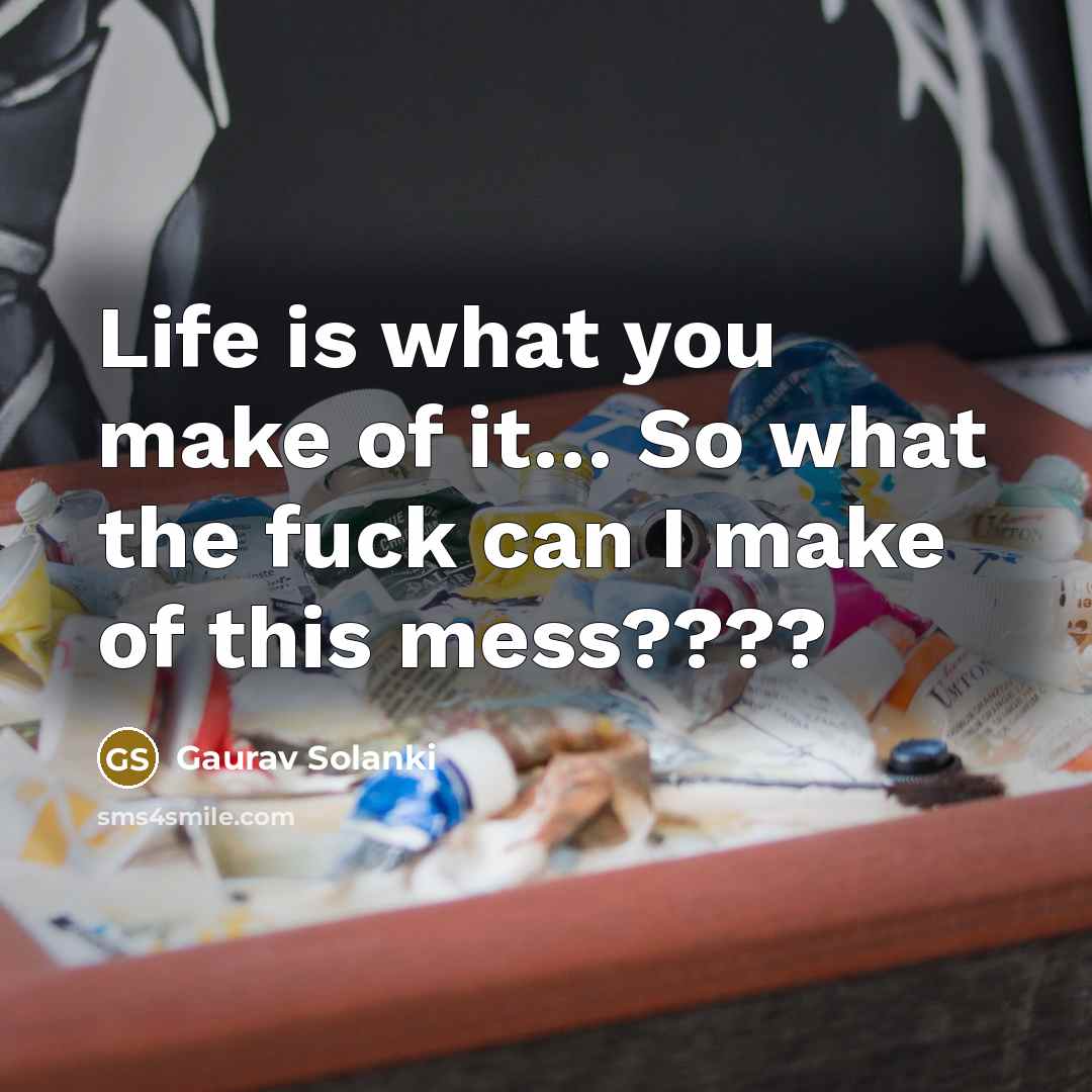 “Life is what you make of it… So what the fuck can I make of this mess????” quote by Gaurav Solanki