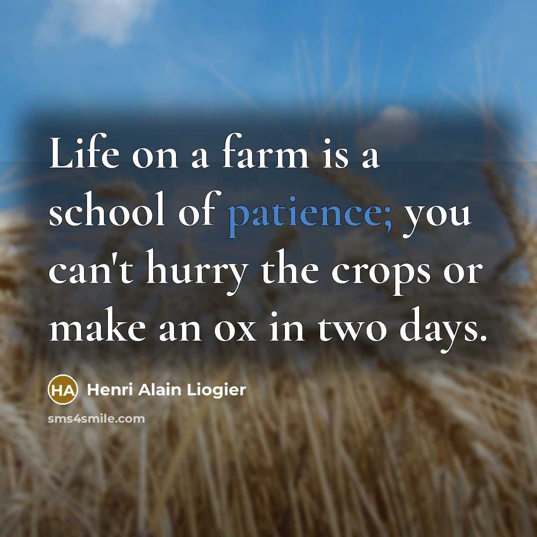 “Life on a farm is a school of patience; you can't hurry the crops or make an ox in two days.” quote by Henri Alain Liogier