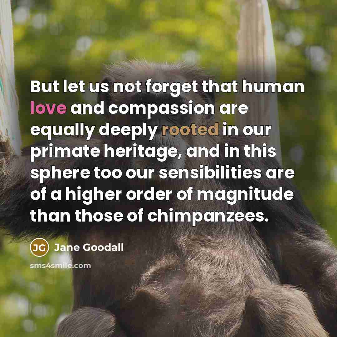 “But let us not forget that human love and compassion…” quote by Jane Goodall