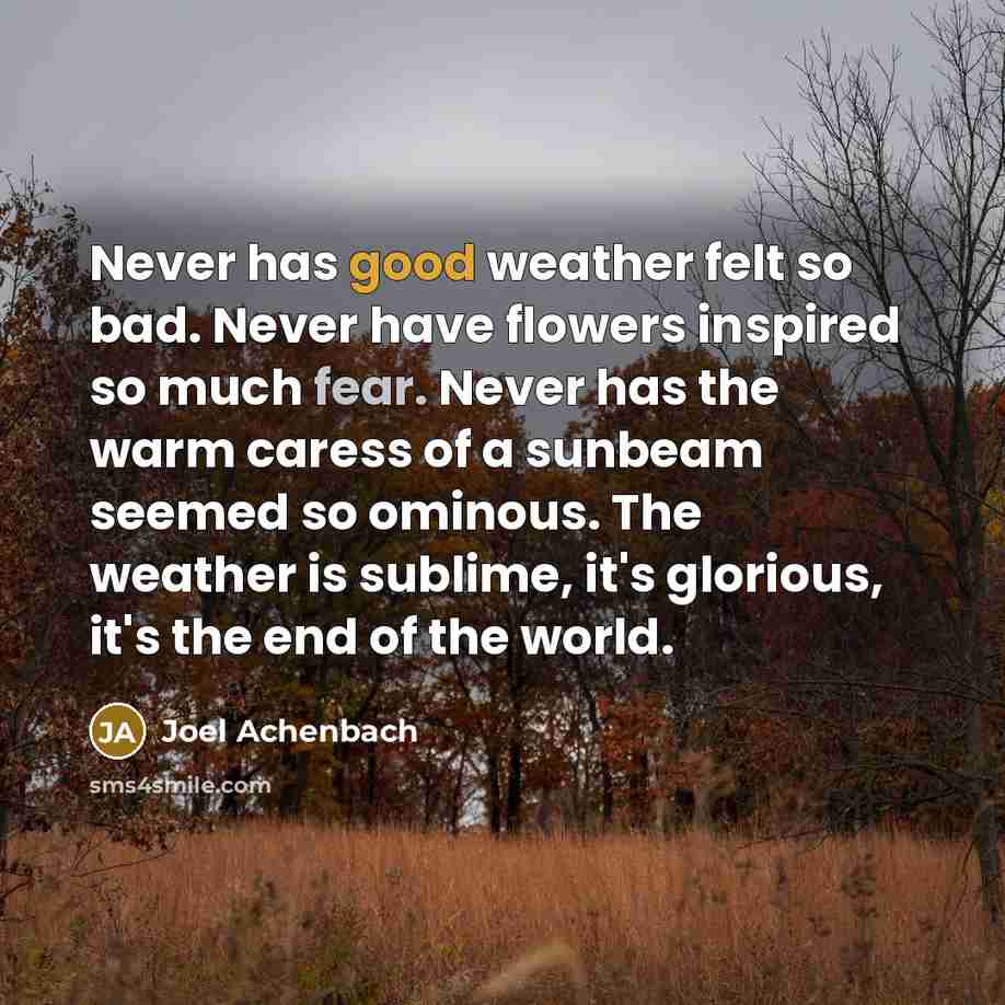 “Never has good weather felt so bad. Never have flowers…” quote by Joel Achenbach