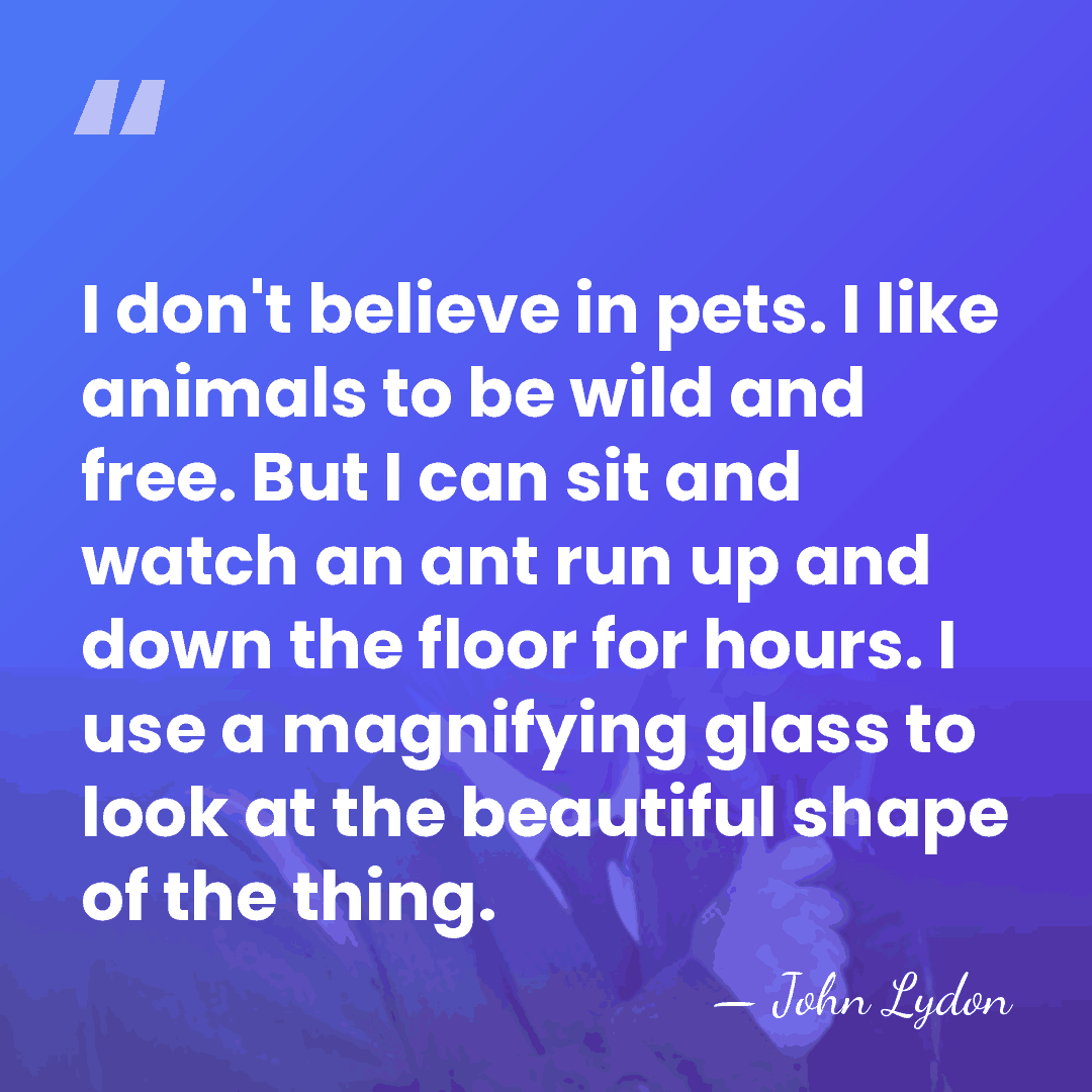 I don't believe in pets. I like animals to be wild and&hellip; - John Lydon