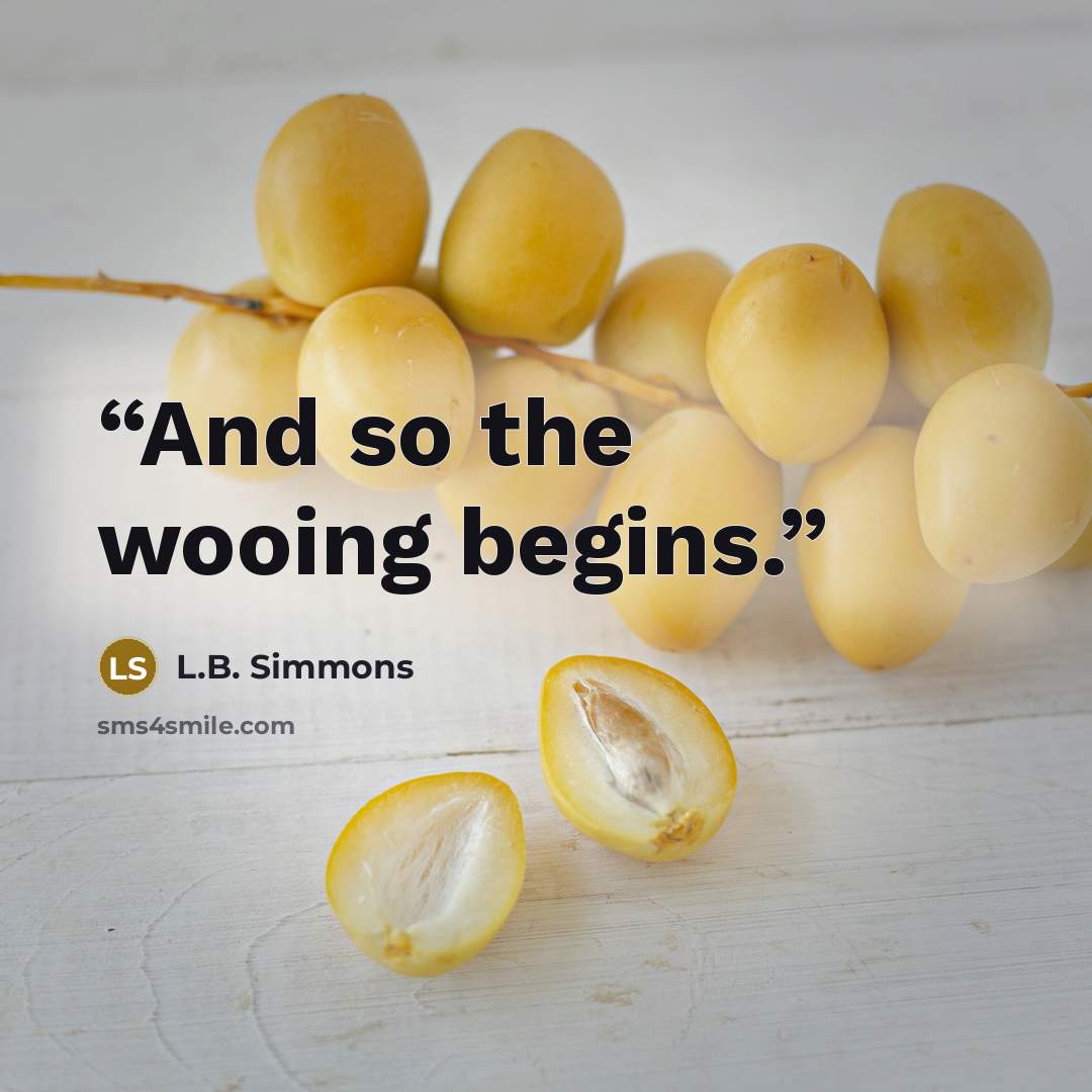 “And so the wooing begins.” quote by L.B. Simmons