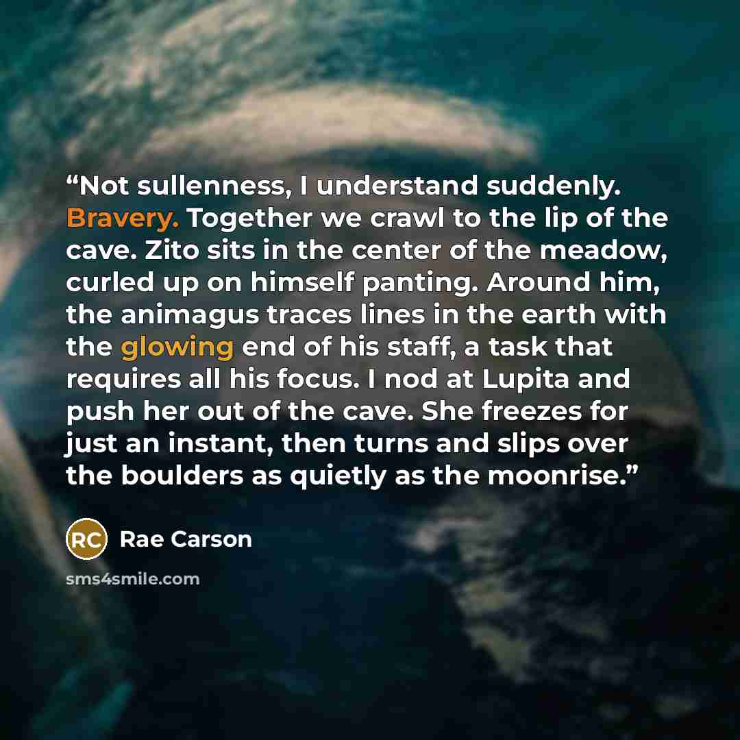“Not sullenness, I understand suddenly. Bravery. Together we crawl to the lip of the cave. Zito sits in the center of the meadow, curled up on himself panting. Around him, the animagus traces lines in the earth with the glowing end of his staff, a task that requires all his focus. I nod at Lupita…” quote by Rae Carson