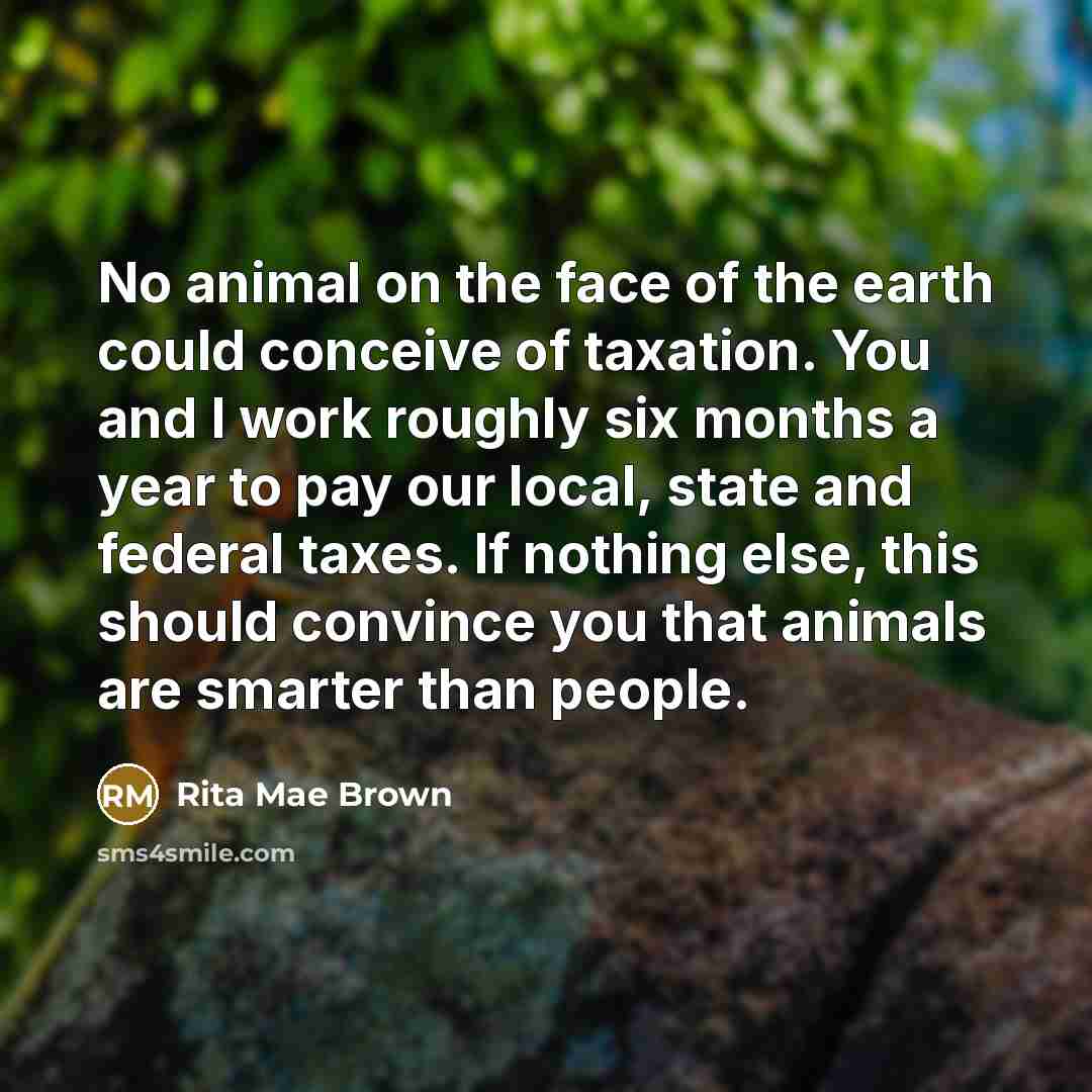 “No animal on the face of the earth could conceive…” quote by Rita Mae Brown