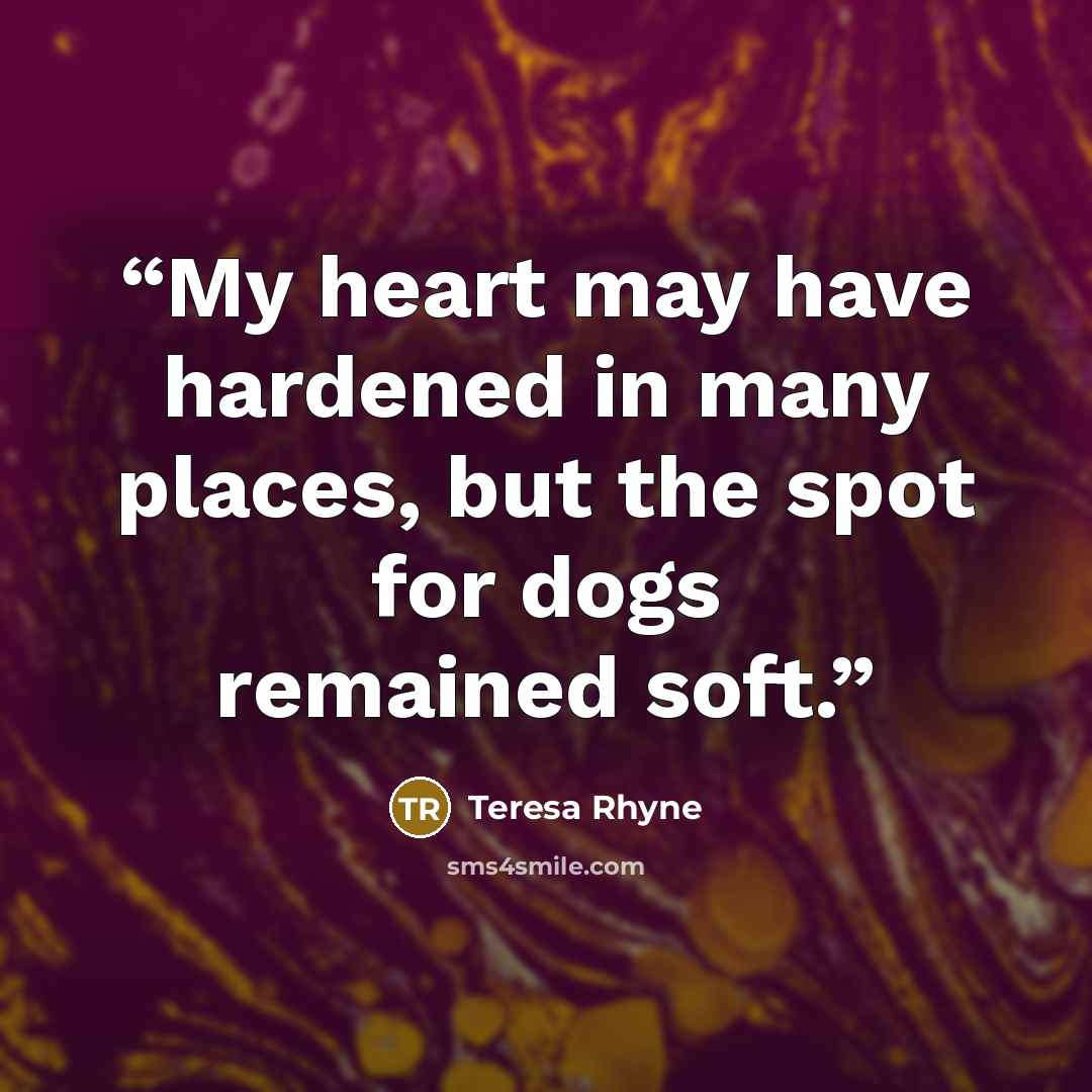 “My heart may have hardened in many places, but the spot for dogs remained soft.” quote by Teresa Rhyne