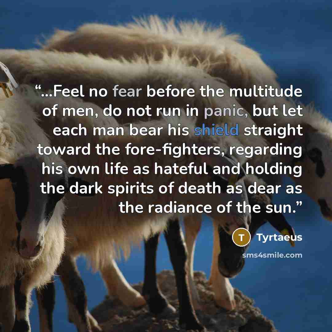 “...Feel no fear before the multitude of men, do not run in panic, but let each man bear his shield straight toward the fore-fighters, regarding his own life as hateful and holding the dark spirits of death as dear as the radiance of the sun.” quote by Tyrtaeus