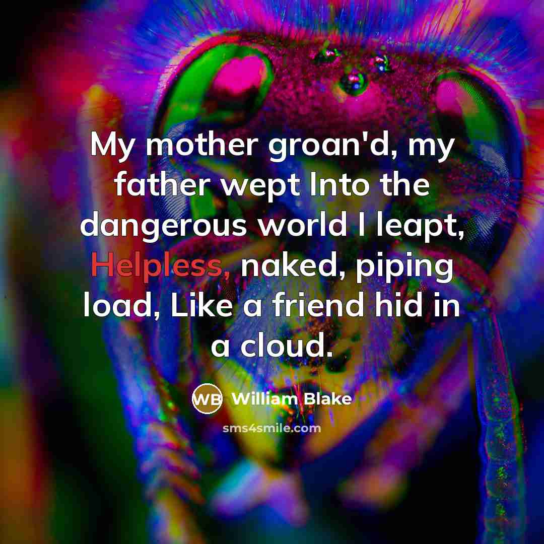 “My mother groan'd, my father wept Into the dangerous world…” quote by William Blake