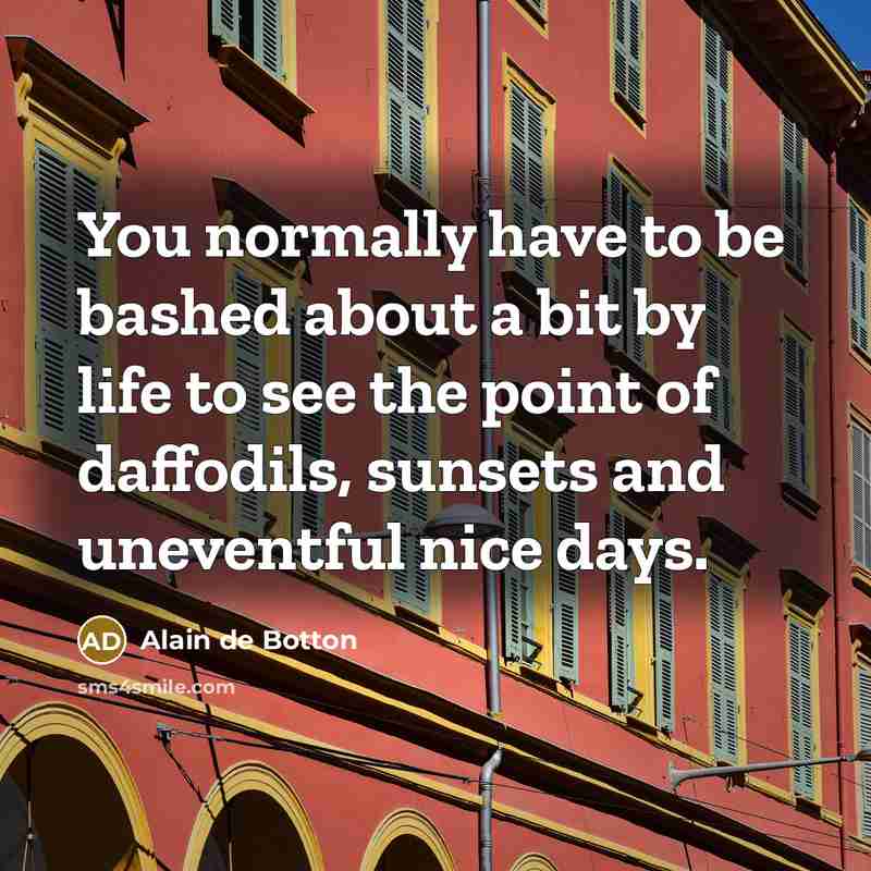 “You normally have to be bashed about a bit by…” quote by Alain de Botton
