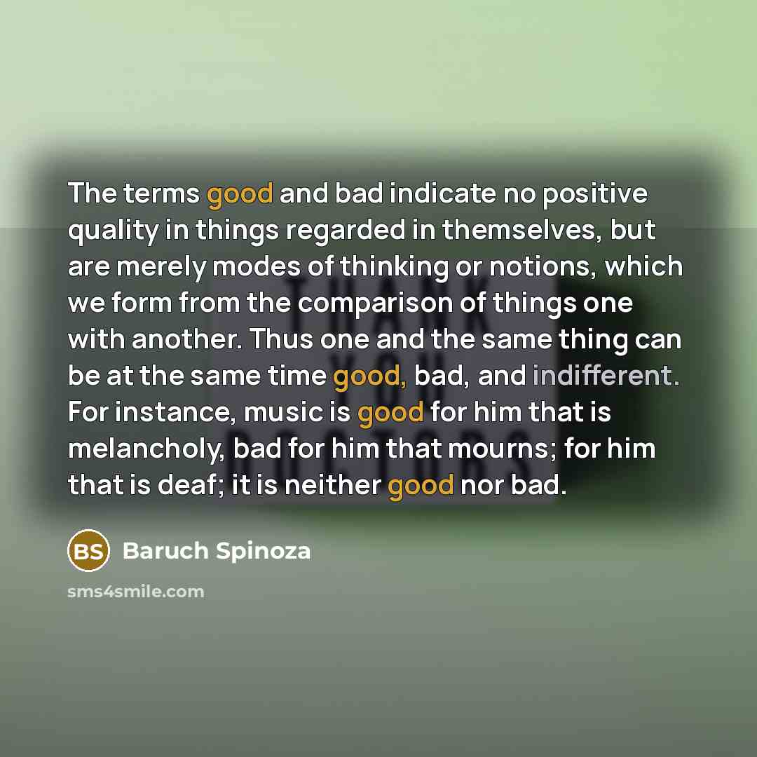 “The terms good and bad indicate no positive quality in…” quote by Baruch Spinoza