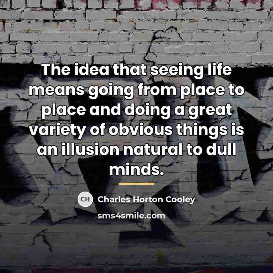 “The idea that seeing life means going from place to…” quote by Charles Horton Cooley