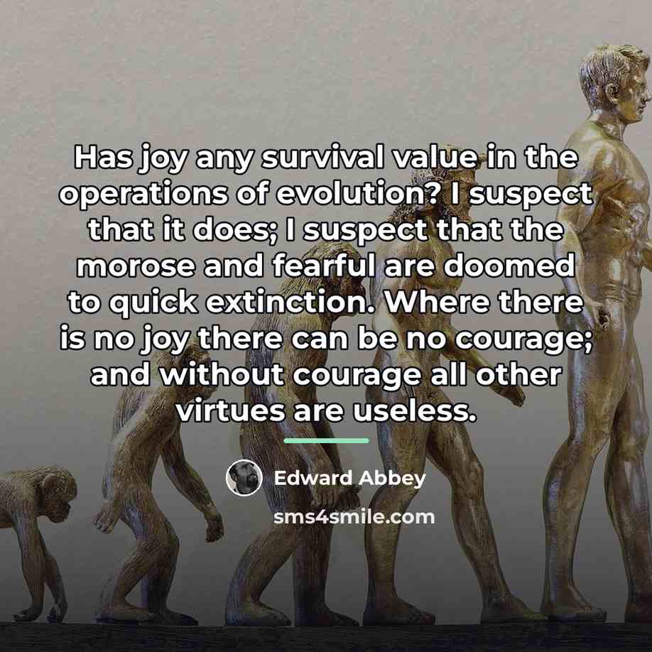 “Has joy any survival value in the operations of evolution?…” quote by Edward Abbey