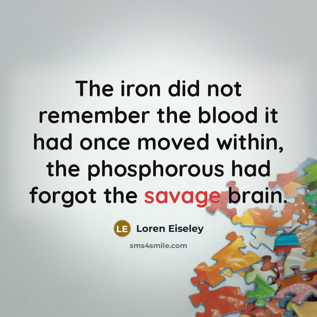 “The iron did not remember the blood it had once…” quote by Loren Eiseley