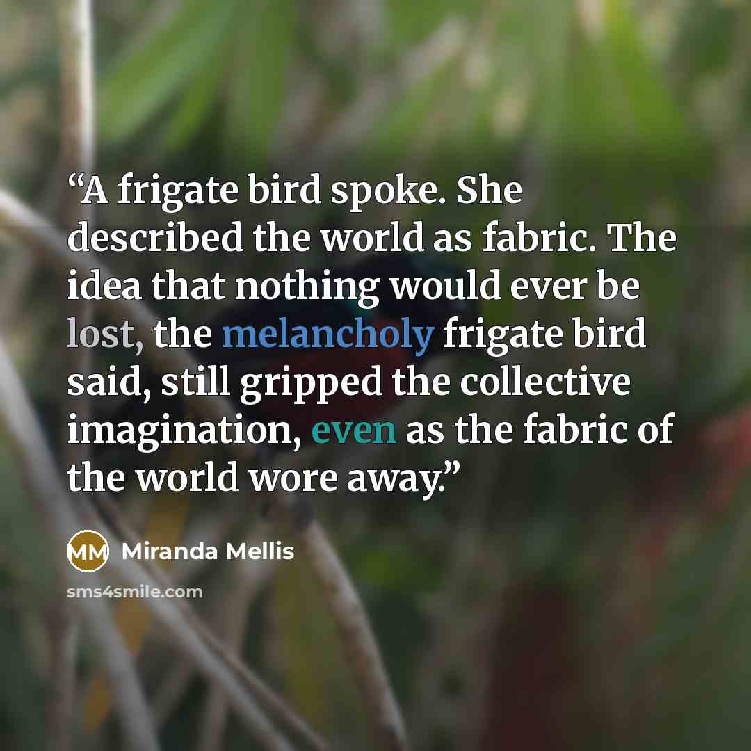 “A frigate bird spoke. She described the world as fabric. The idea that nothing would ever be lost, the melancholy frigate bird said, still gripped the collective imagination, even as the fabric of the world wore away.” quote by Miranda Mellis