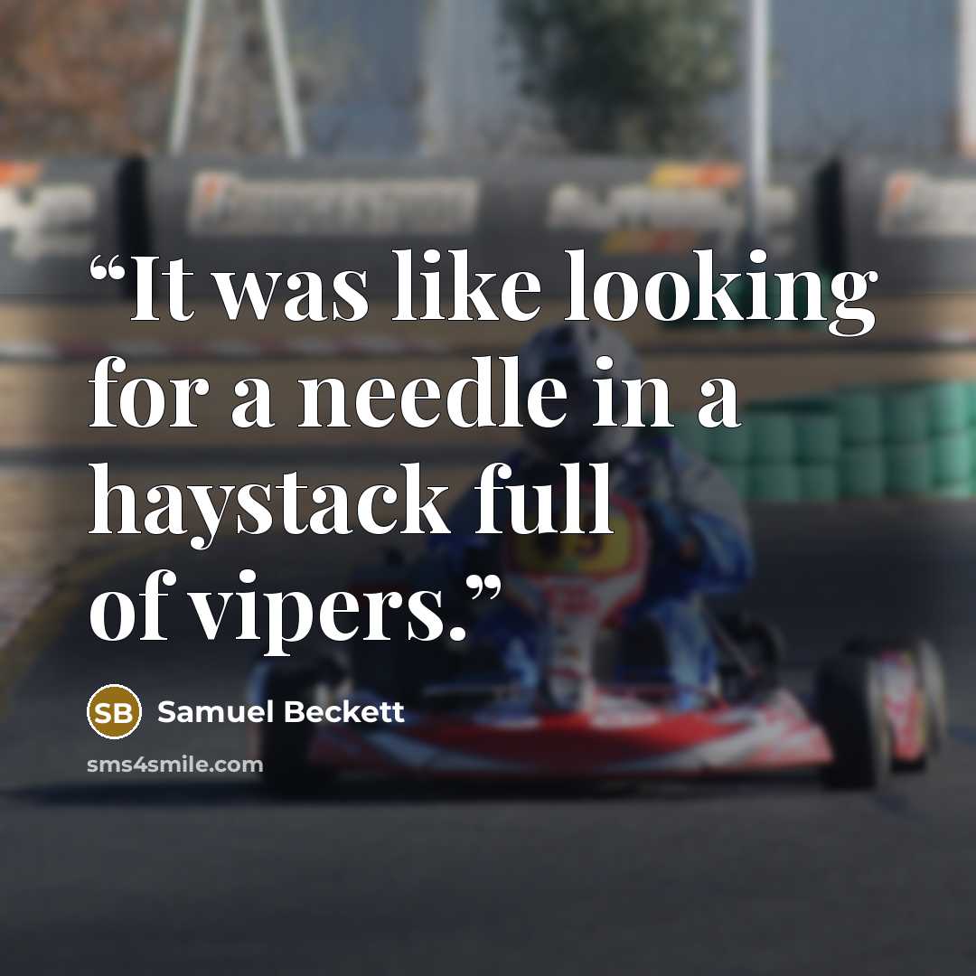 “It was like looking for a needle in a haystack full of vipers.” quote by Samuel Beckett
