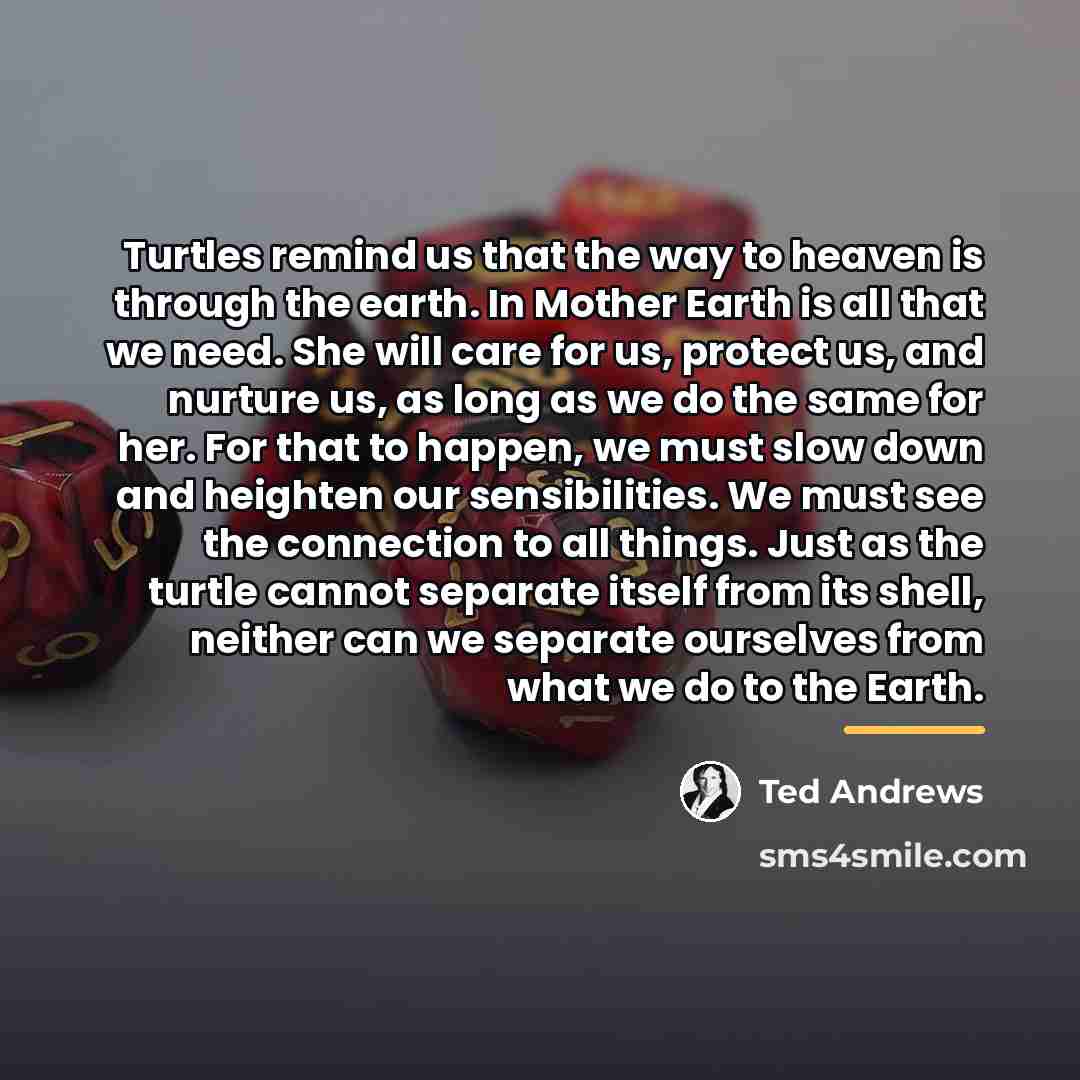 “Turtles remind us that the way to heaven is through…” quote by Ted Andrews