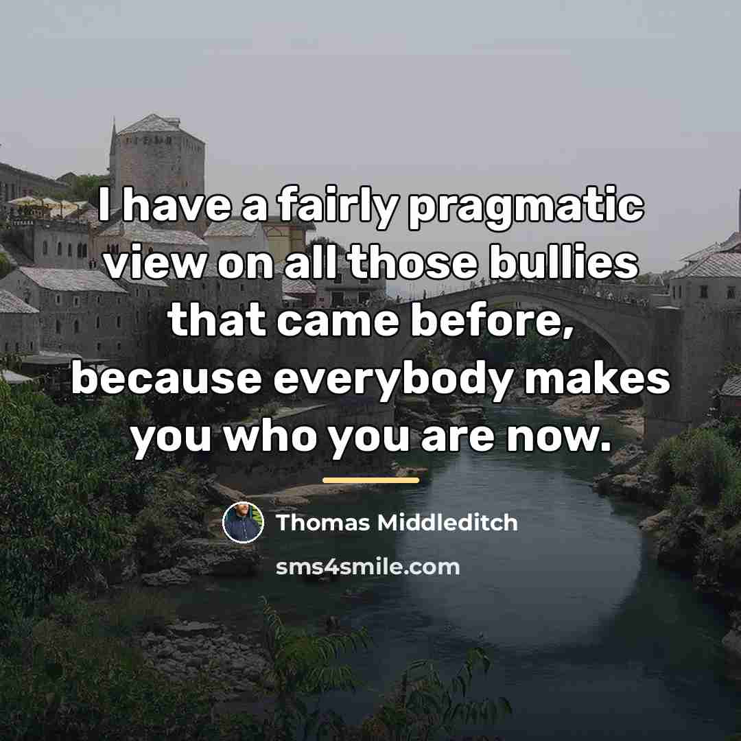 “I have a fairly pragmatic view on all those bullies…” quote by Thomas Middleditch