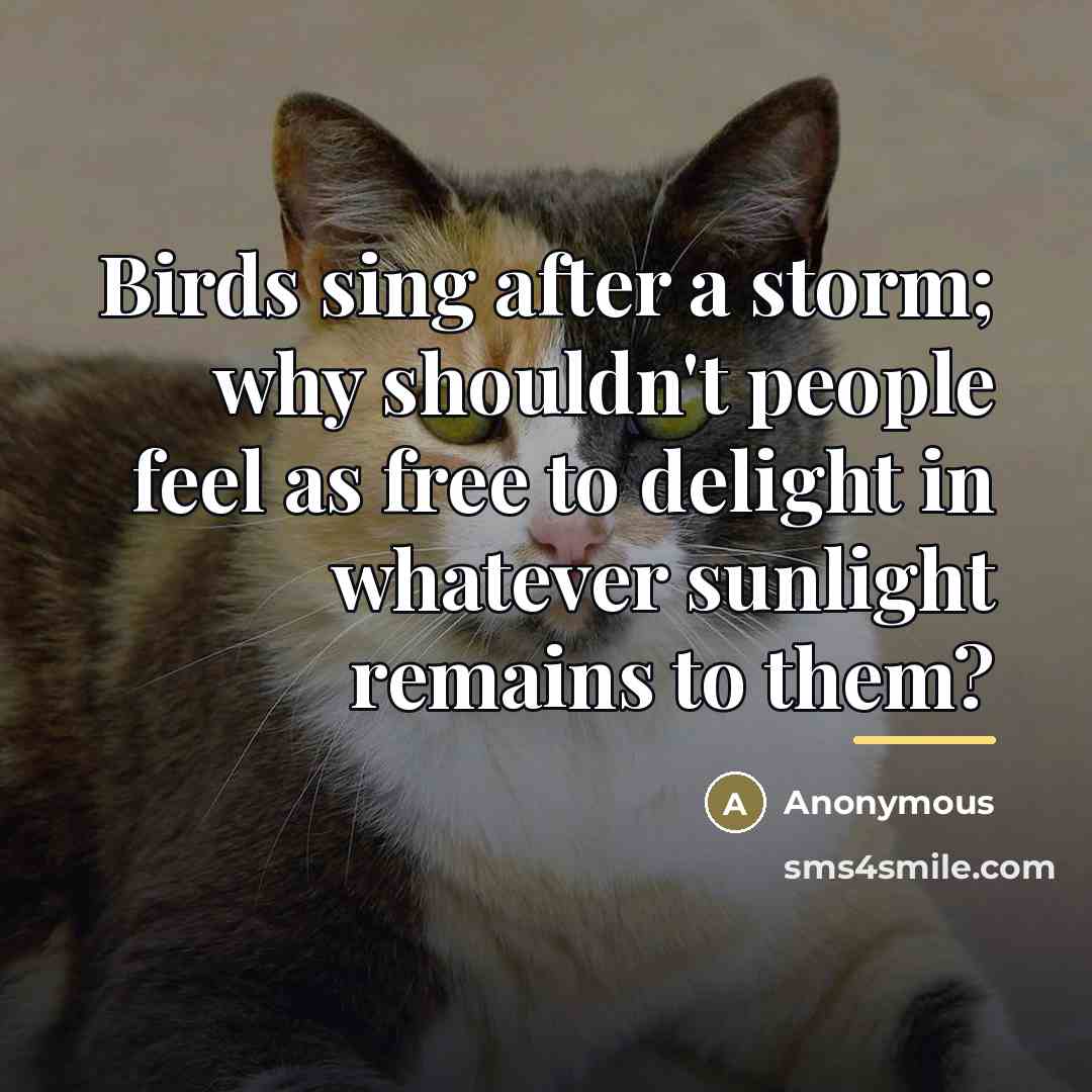 “Birds sing after a storm; why shouldn't people feel as…” quote by Anonymous