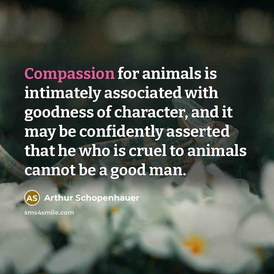 “Compassion for animals is intimately associated with goodness of character,…” quote by Arthur Schopenhauer