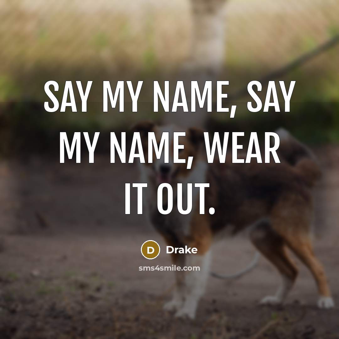 “Say my name, say my name, wear it out.…” quote by Drake